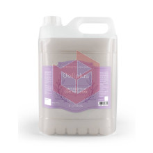 Sabonete liquido antisseptico triclosan BellPlus 5l