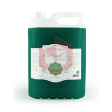 Sabonete espuma erva doce Bellplus Botanic 5l