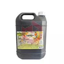 Desinfetante talco Quimicpar 5l 