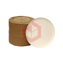 Prato de papelão n.10 34cm Cherobin c/100un