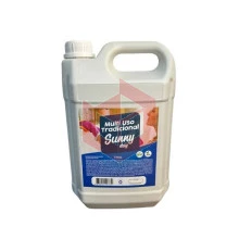 Detergente lava louça concentrado Sunny Day 5l 